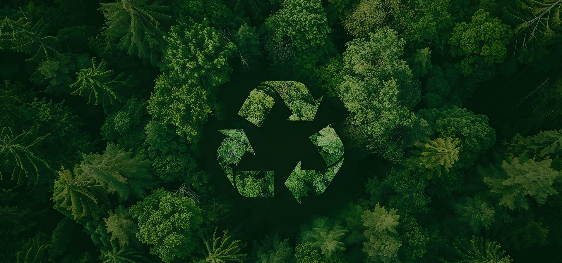 琪琳瀚海海藻原料2