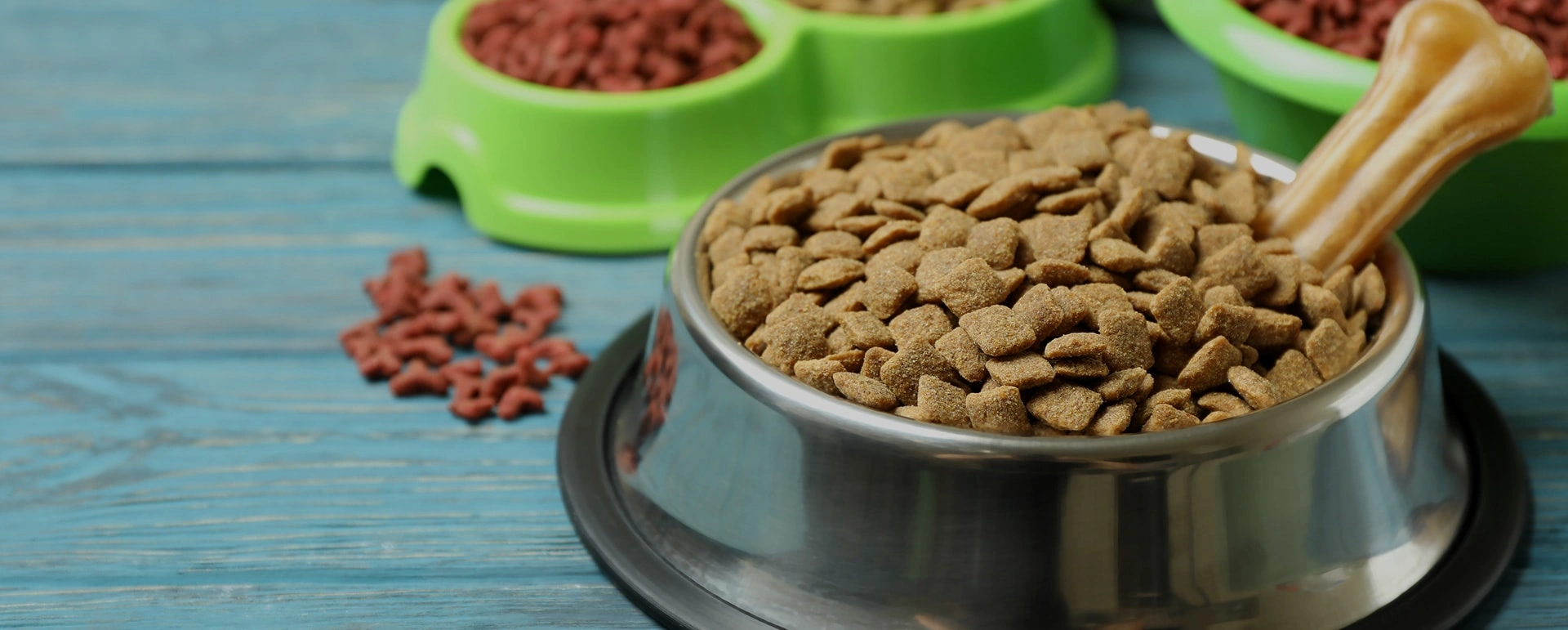 Animal Nutrition